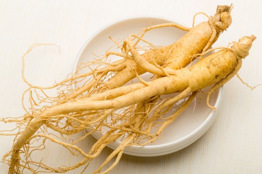 Ginseng kökü penisi genişleten tentürün temelidir